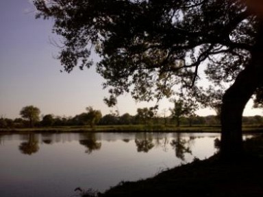 Gite rural Auvergne en pleine nature - Allier en Sologne Bourbonnaise